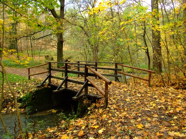 Divoká Šárka